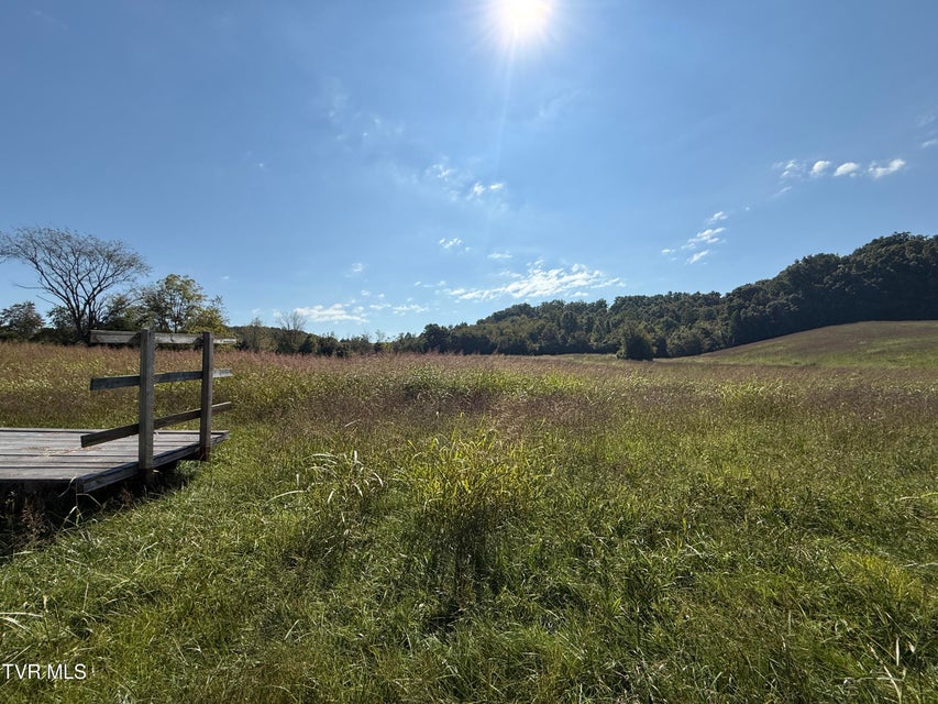 Photo #8: 0 Old Snapps Ferry Road