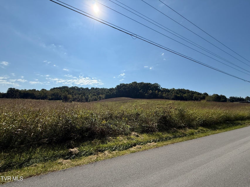 Photo #9: 0 Old Snapps Ferry Road