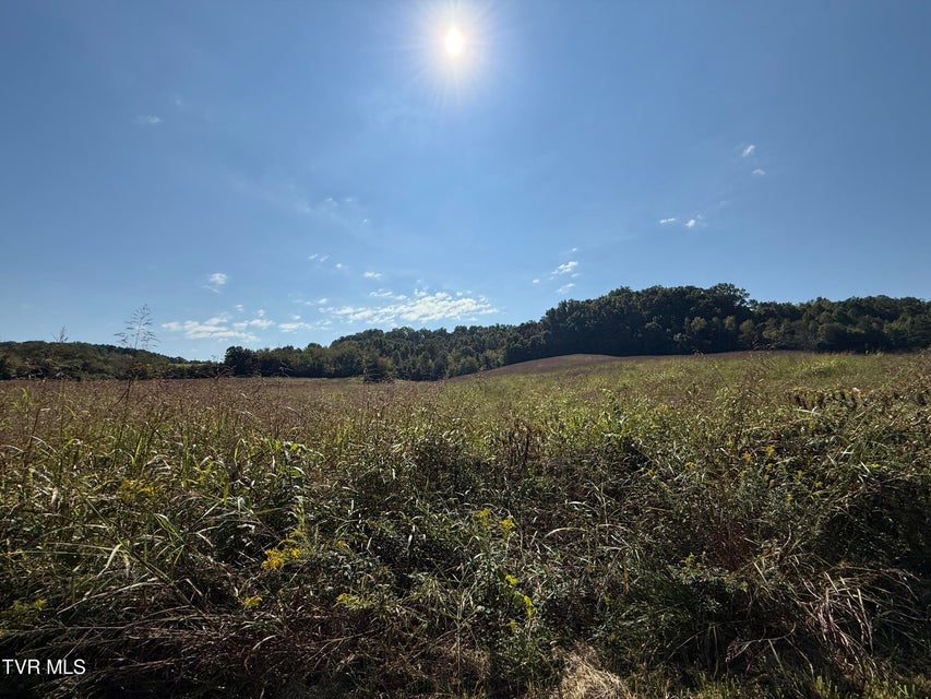 Photo #10: 0 Old Snapps Ferry Road