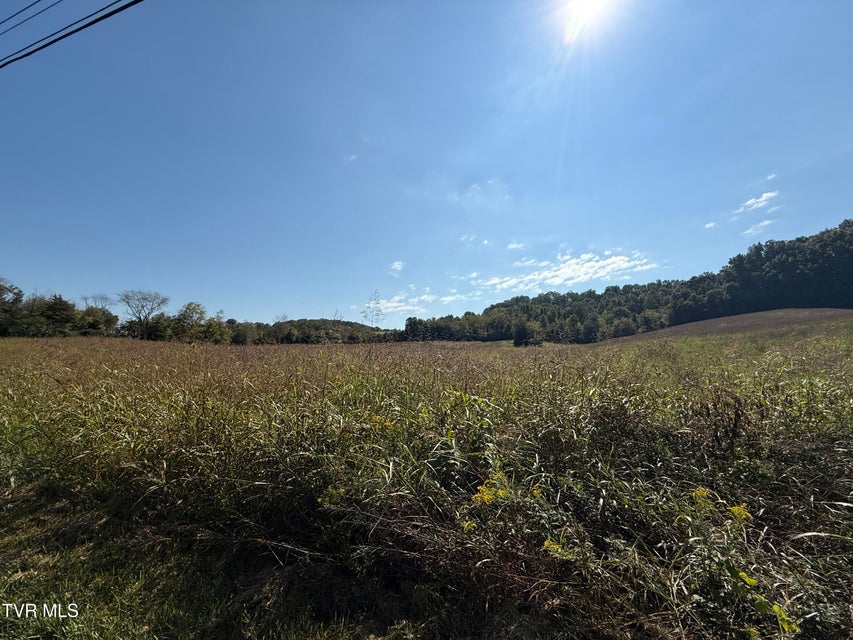 Photo #11: 0 Old Snapps Ferry Road