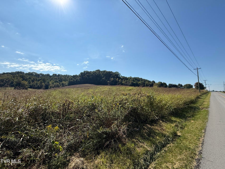 Photo #12: 0 Old Snapps Ferry Road