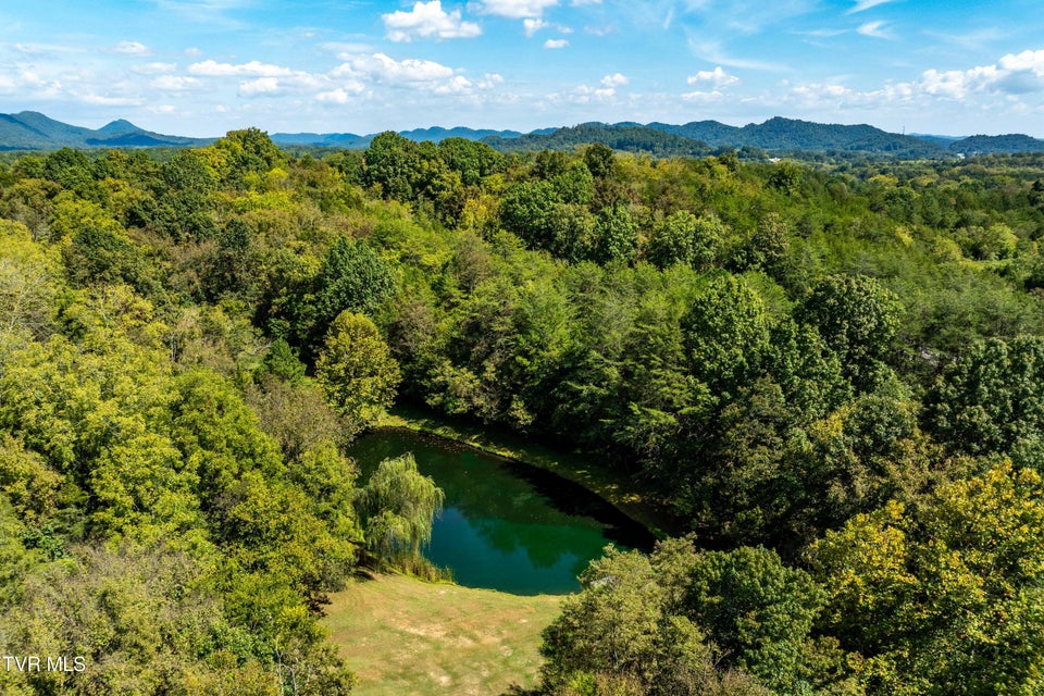 Photo #36: 607 Choptack Road