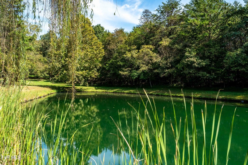 Photo #72: 607 Choptack Road