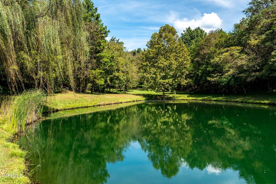 Photo #73: 607 Choptack Road