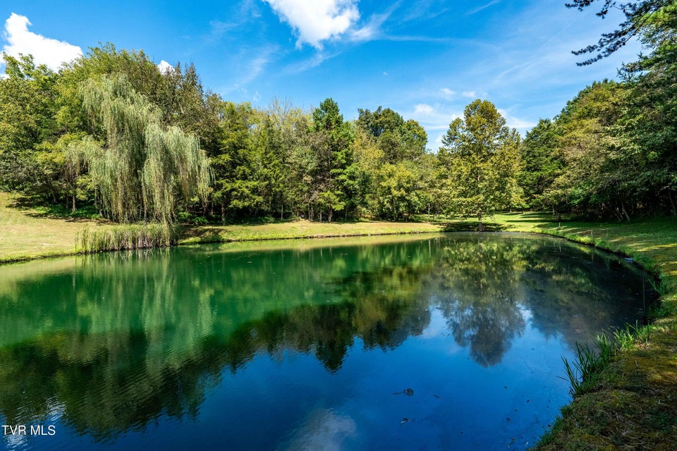 Photo #75: 607 Choptack Road