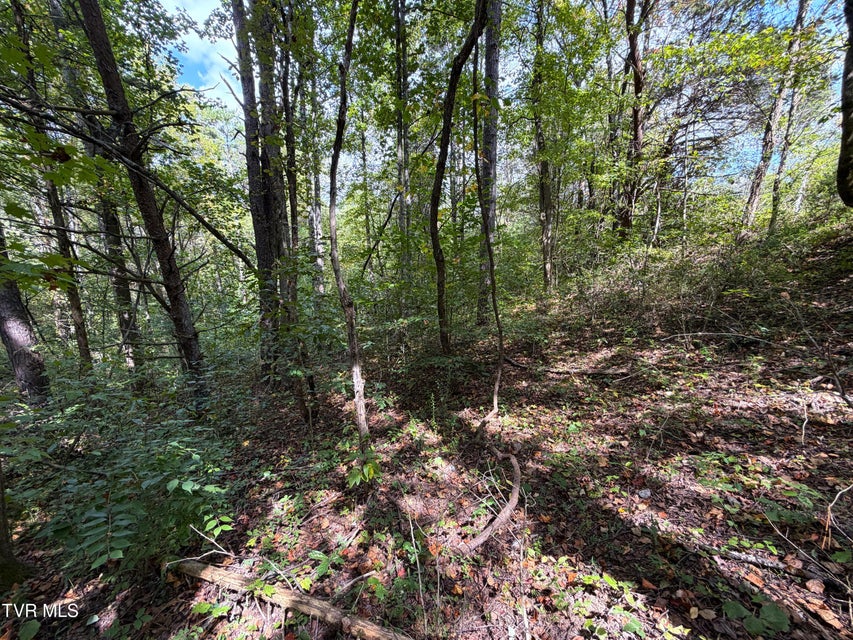 Photo #2: Lot 25 East Drive
