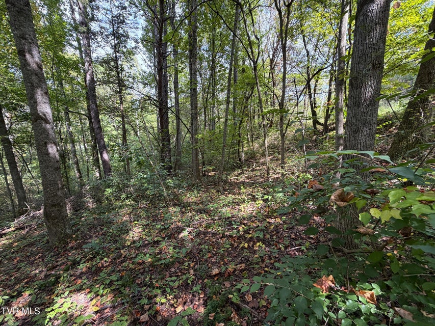 Photo #3: Lot 25 East Drive