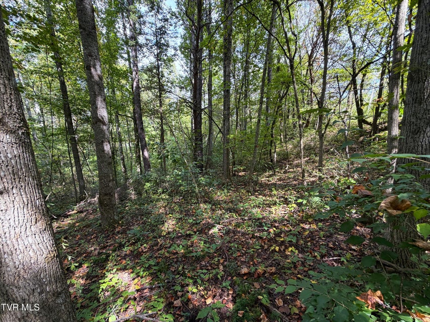 Photo #4: Lot 25 East Drive