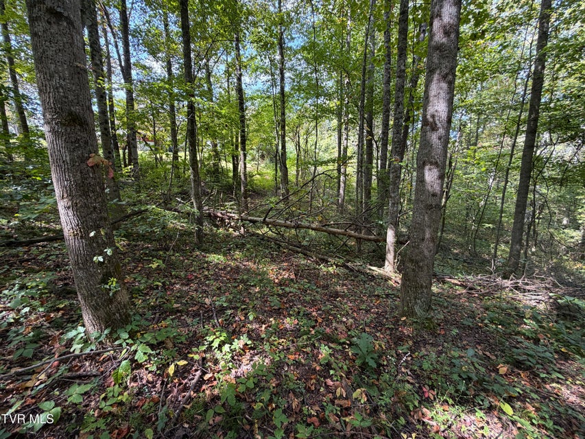 Photo #5: Lot 25 East Drive