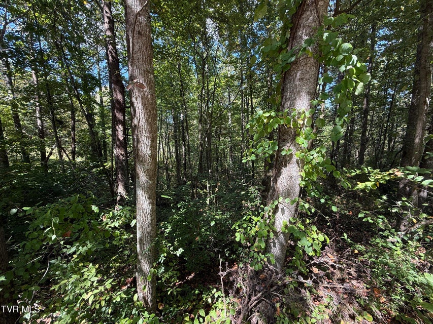 Photo #7: Lot 25 East Drive