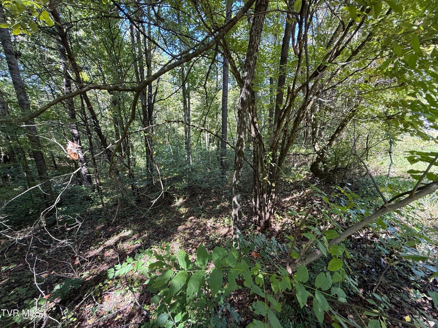 Photo #8: Lot 25 East Drive