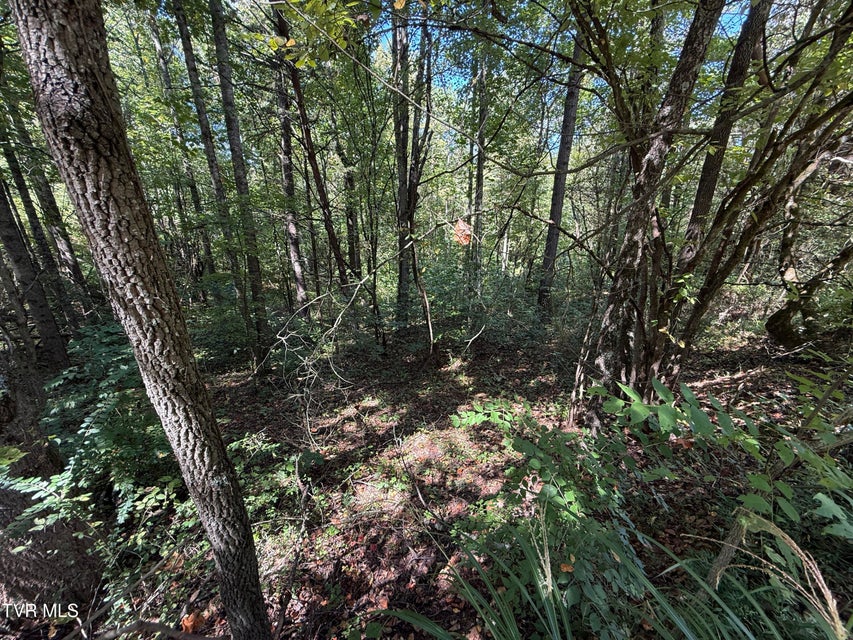 Photo #9: Lot 25 East Drive