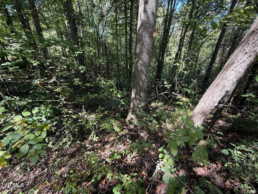 Photo #10: Lot 25 East Drive