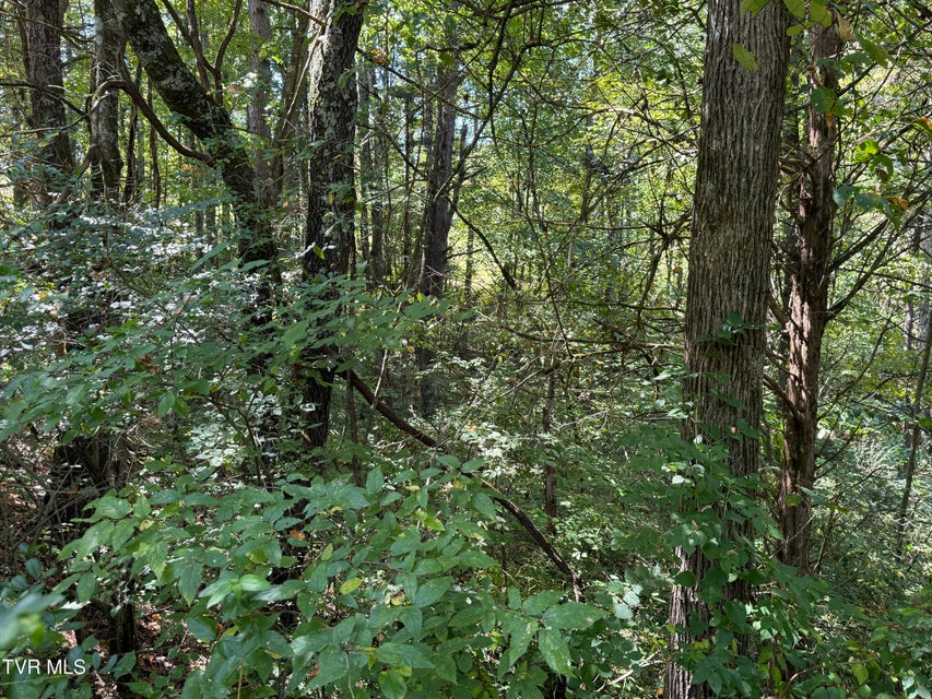 Photo #11: Lot 25 East Drive