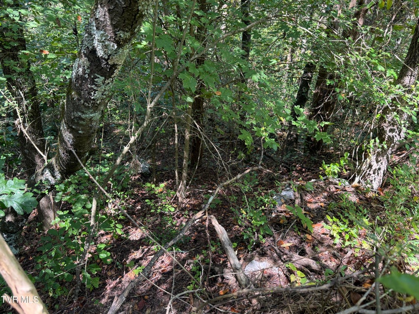 Photo #12: Lot 25 East Drive