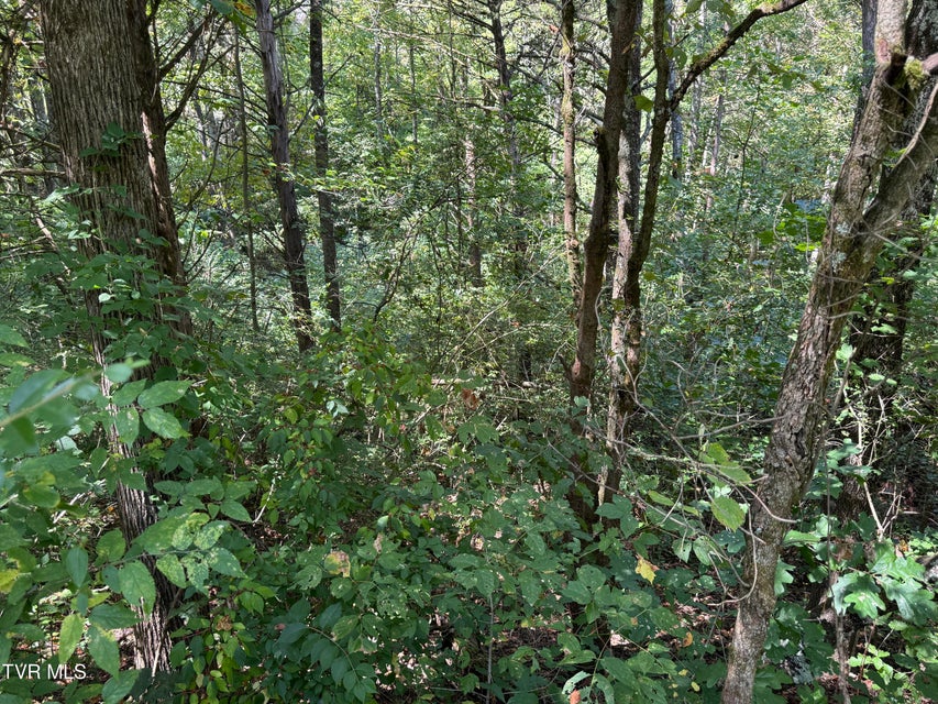 Photo #13: Lot 25 East Drive