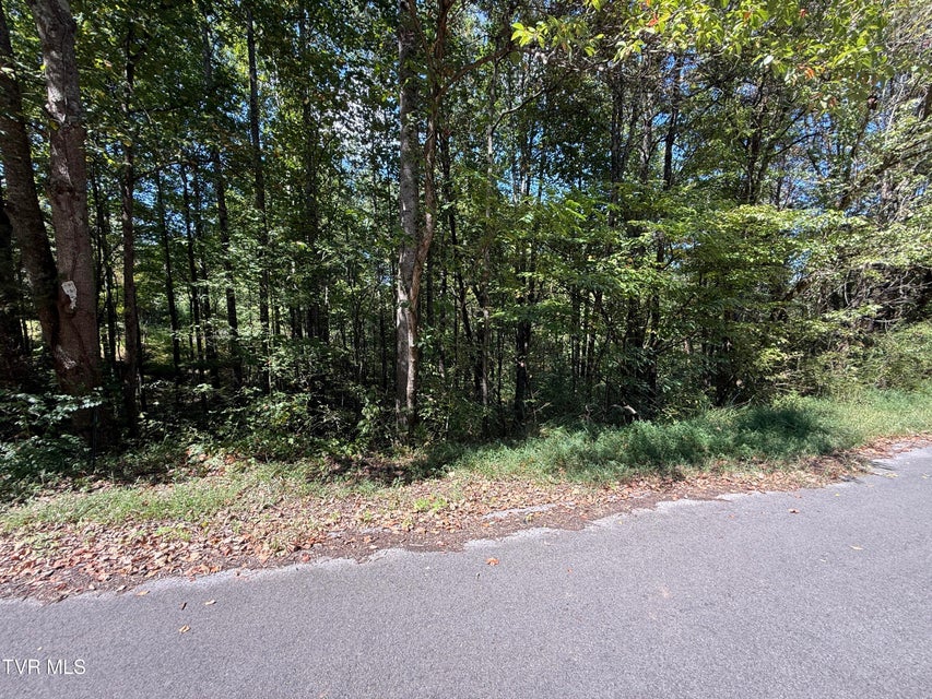 Photo #14: Lot 25 East Drive