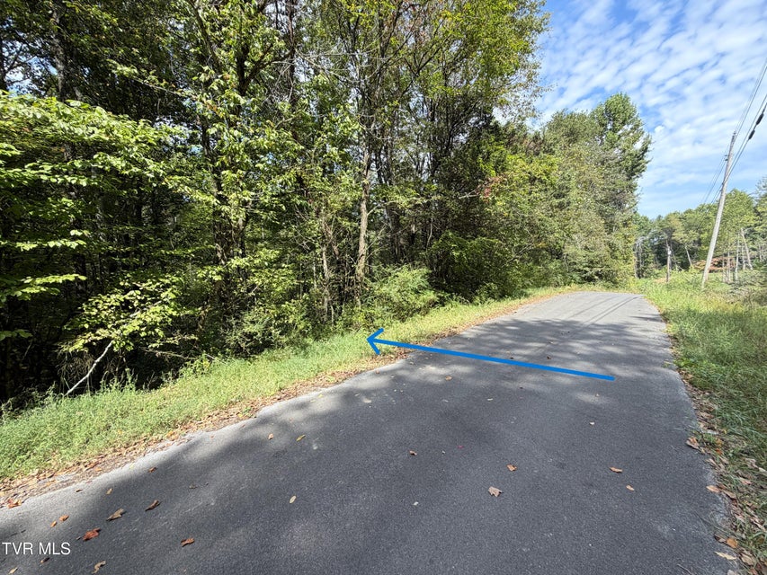 Photo #15: Lot 25 East Drive