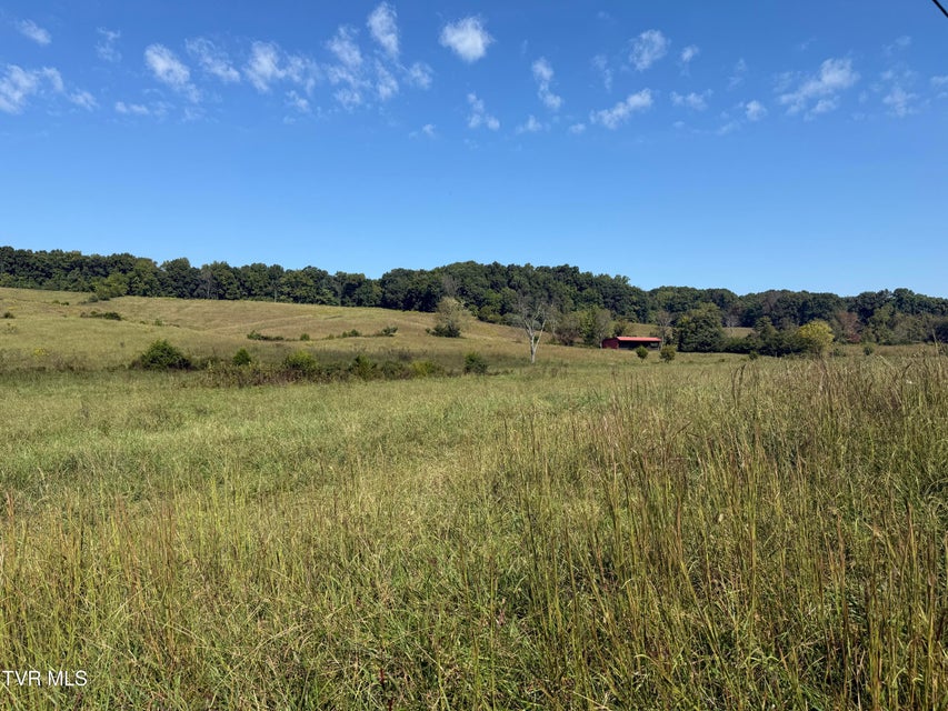 Photo #14: 00 Old Snapps Ferry Road