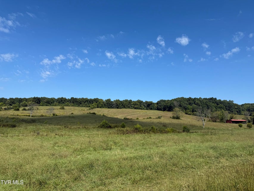 Photo #16: 00 Old Snapps Ferry Road