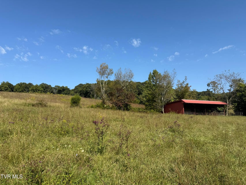 Photo #17: 00 Old Snapps Ferry Road