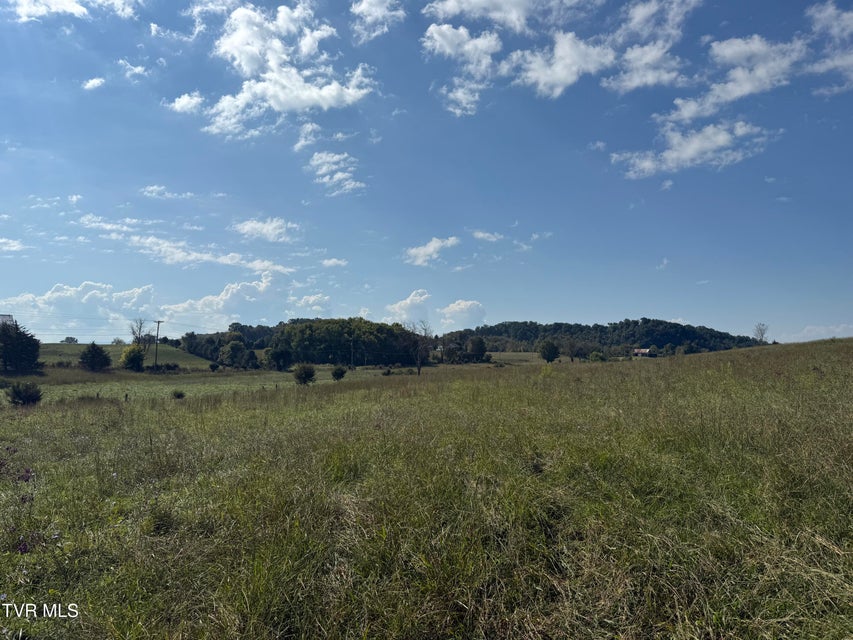 Photo #18: 00 Old Snapps Ferry Road