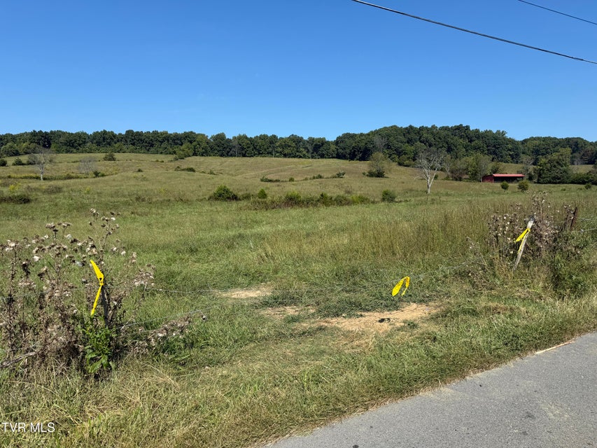 Photo #25: 00 Old Snapps Ferry Road