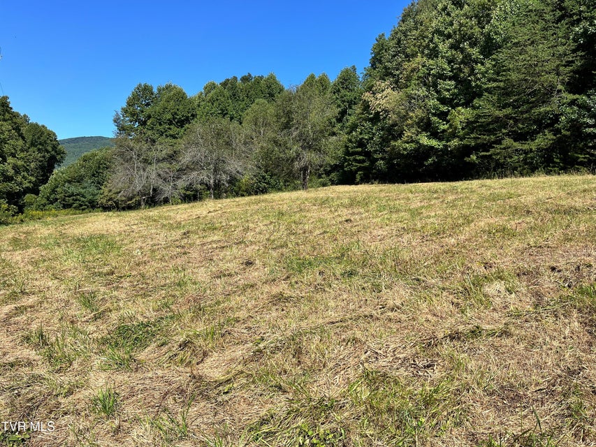 Photo #3: 00 Estep Loop 