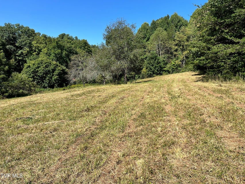 Photo #6: 00 Estep Loop 