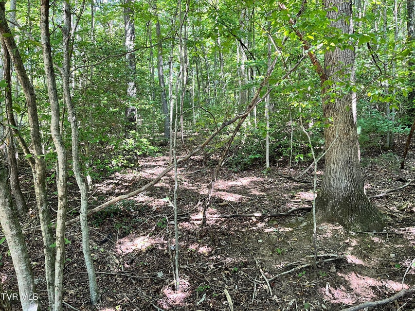 Photo #8: 00 Estep Loop 