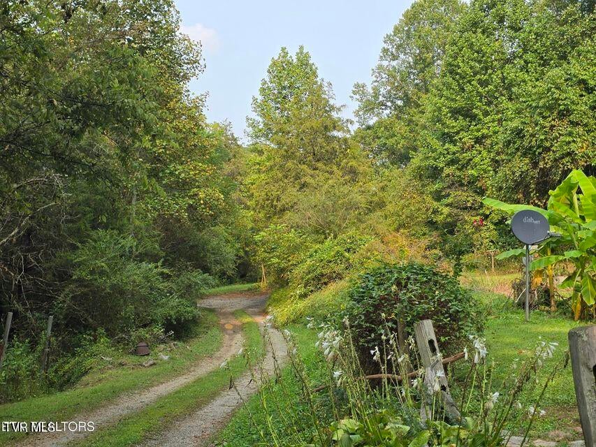 Photo #27: 170 Parker Road
