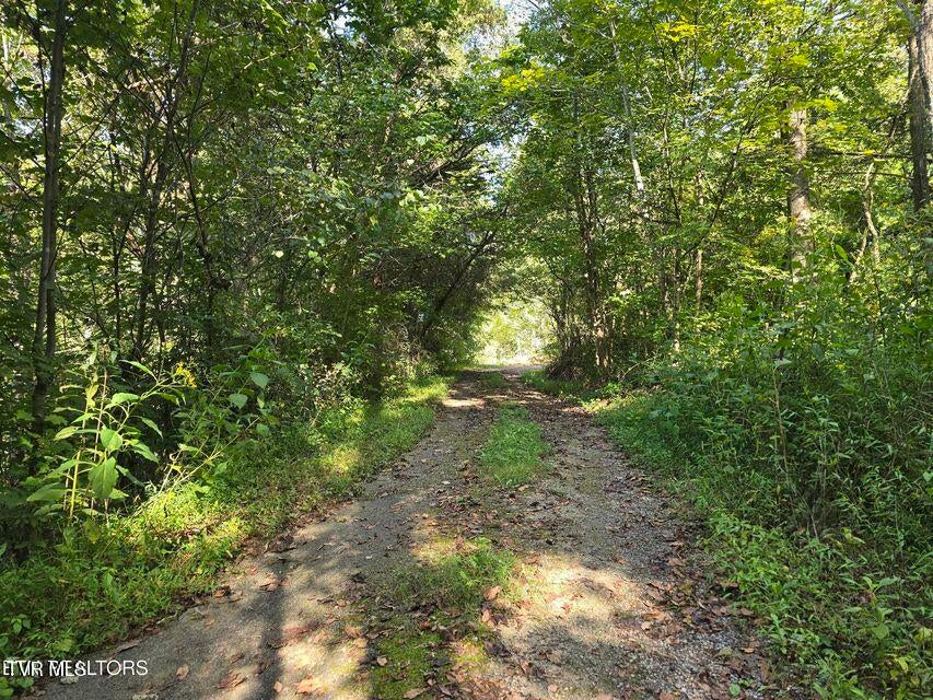 Photo #28: 170 Parker Road
