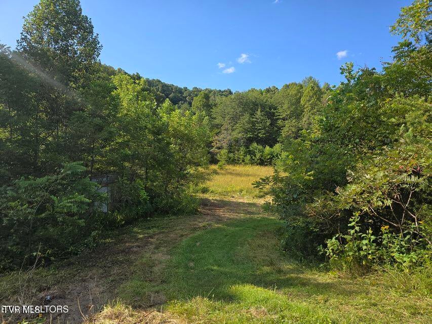 Photo #29: 170 Parker Road