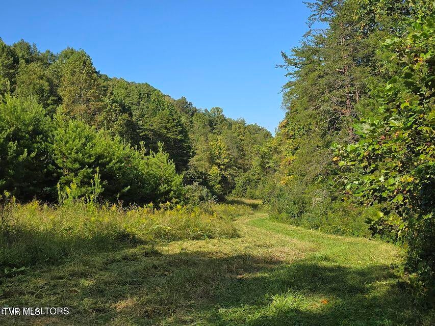 Photo #30: 170 Parker Road