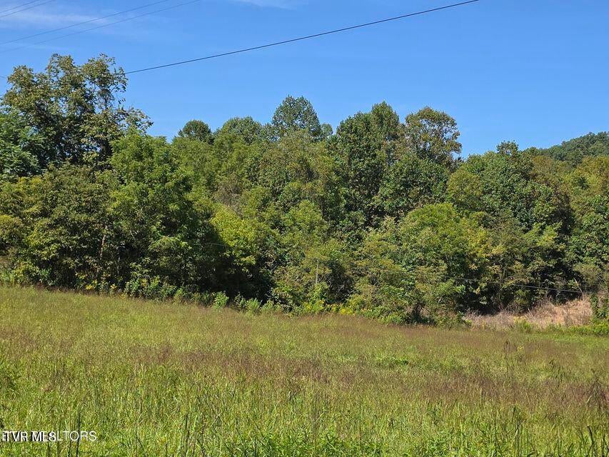Photo #31: 170 Parker Road