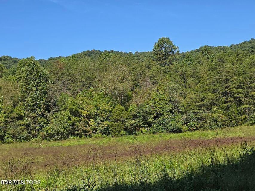 Photo #32: 170 Parker Road