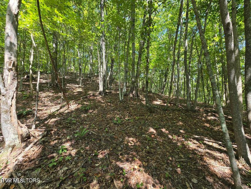 Photo #33: 170 Parker Road