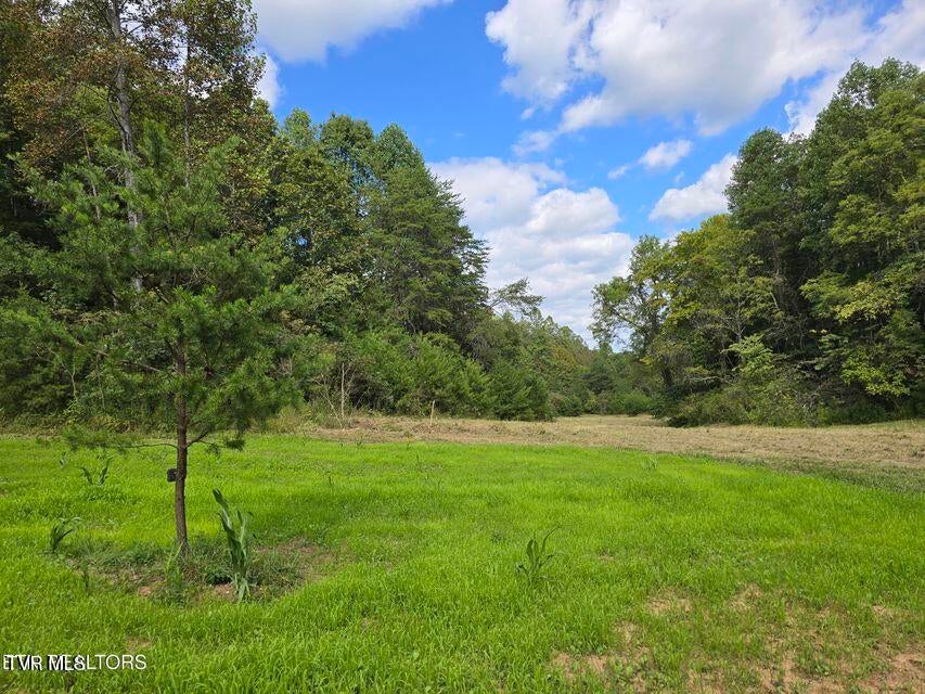 Photo #40: 170 Parker Road