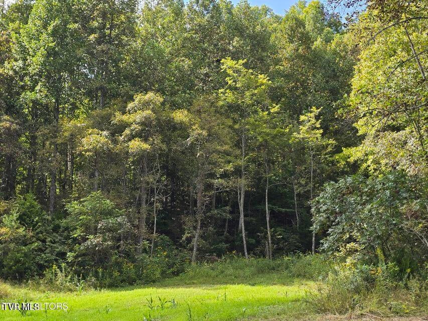 Photo #41: 170 Parker Road