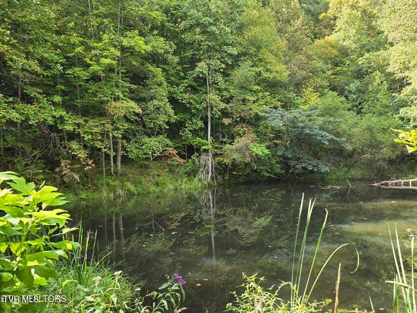 Photo #42: 170 Parker Road