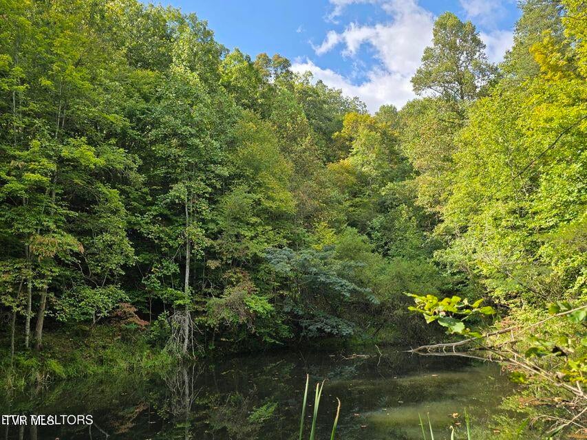 Photo #43: 170 Parker Road