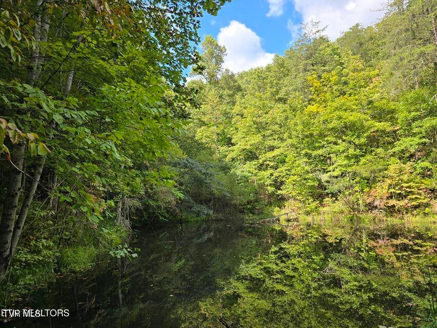 Photo #44: 170 Parker Road