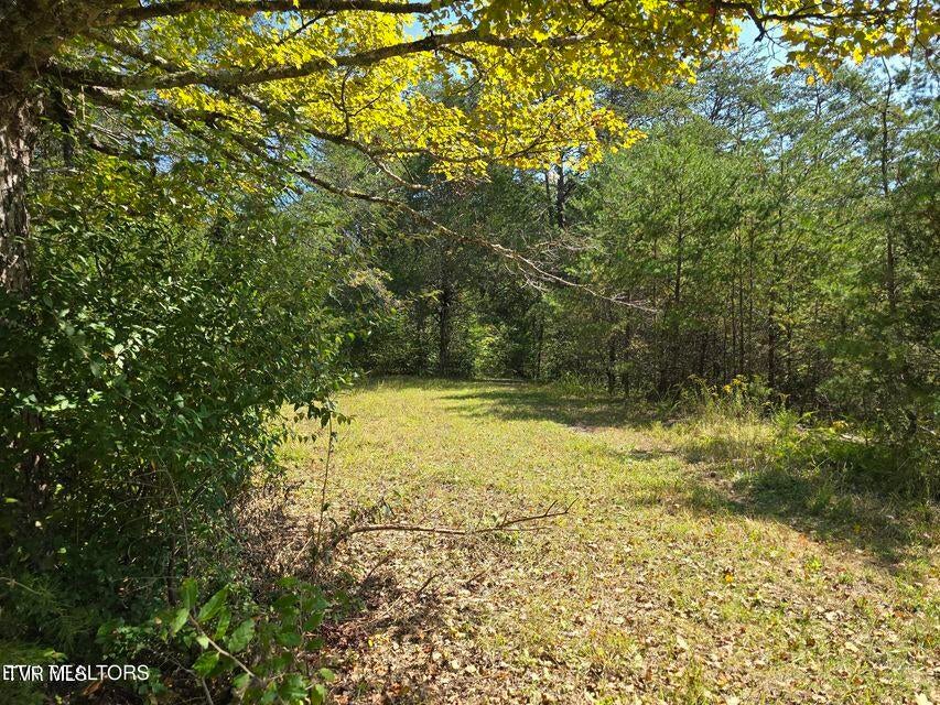 Photo #45: 170 Parker Road