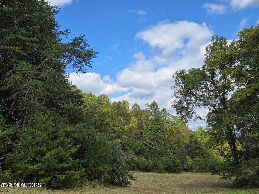 Photo #46: 170 Parker Road