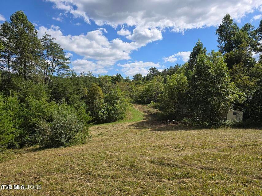 Photo #47: 170 Parker Road