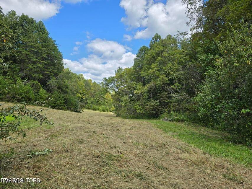 Photo #48: 170 Parker Road