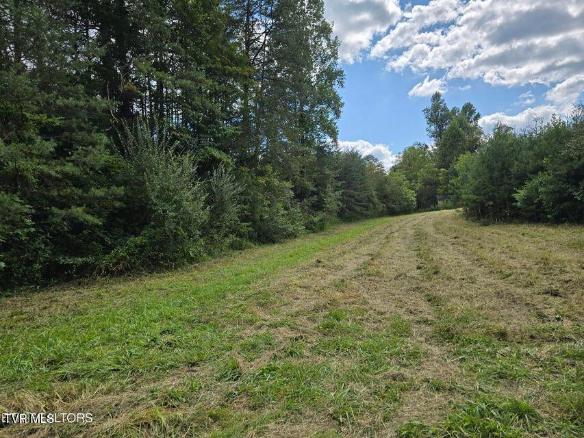 Photo #49: 170 Parker Road