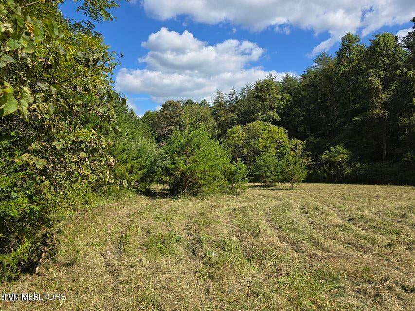Photo #51: 170 Parker Road