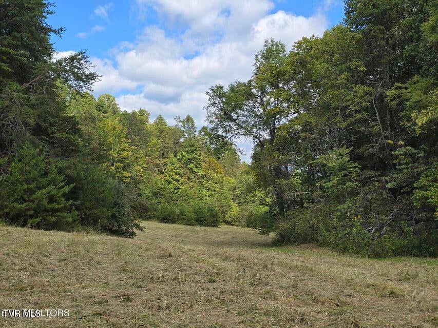 Photo #52: 170 Parker Road