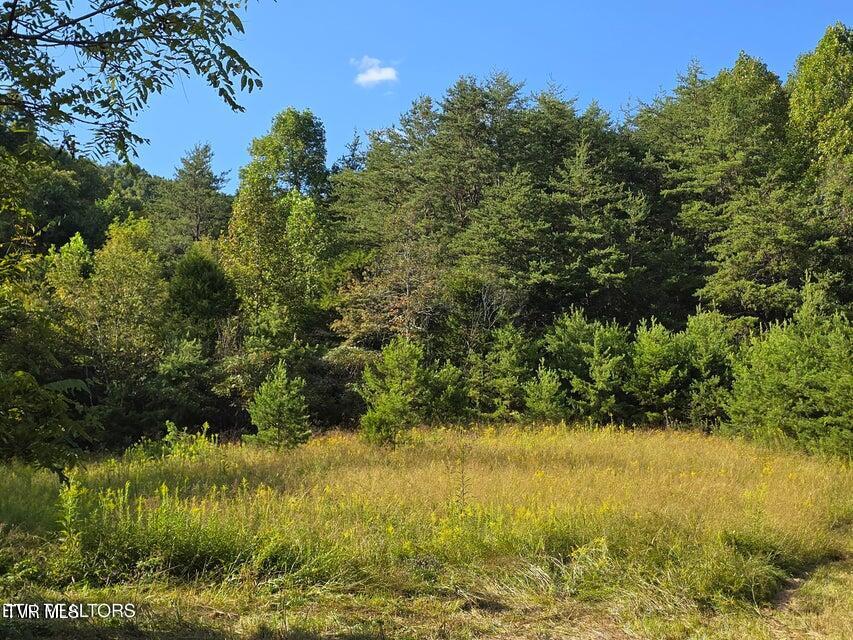 Photo #53: 170 Parker Road